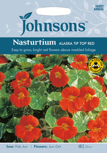 Nasturtium Alaska Tip Top Red