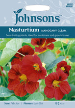 Load image into Gallery viewer, Nasturtium Mahogany Gleam
