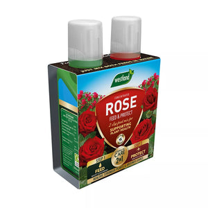 Rose 2 in 1 Feed & Protect