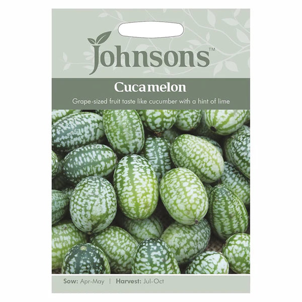 Cucamelon