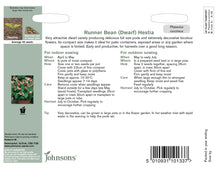 Load image into Gallery viewer, Runner Bean Dwarf Hestia
