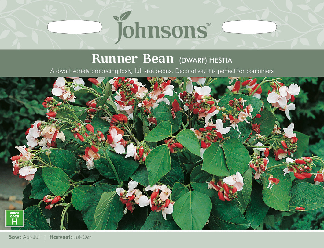 Runner Bean Dwarf Hestia