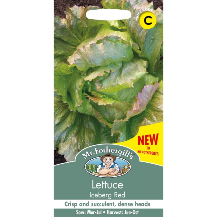 Lettuce Iceberg Red