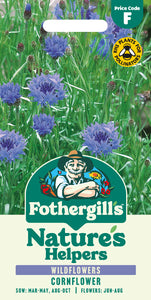 Wildflowers Cornflower