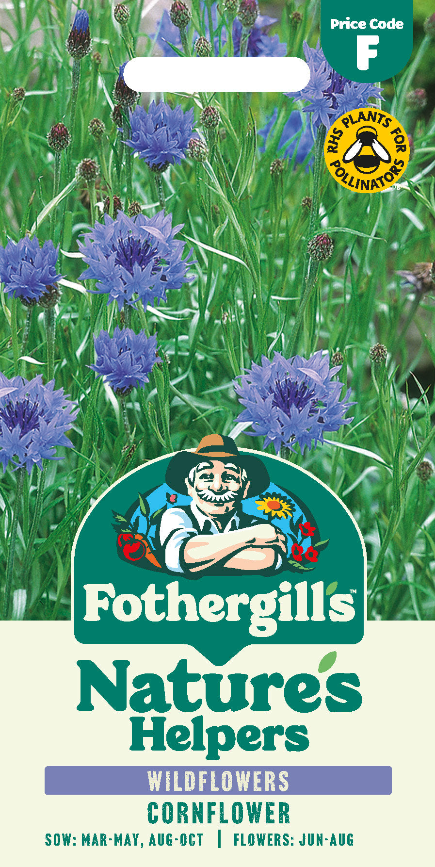 Wildflowers Cornflower
