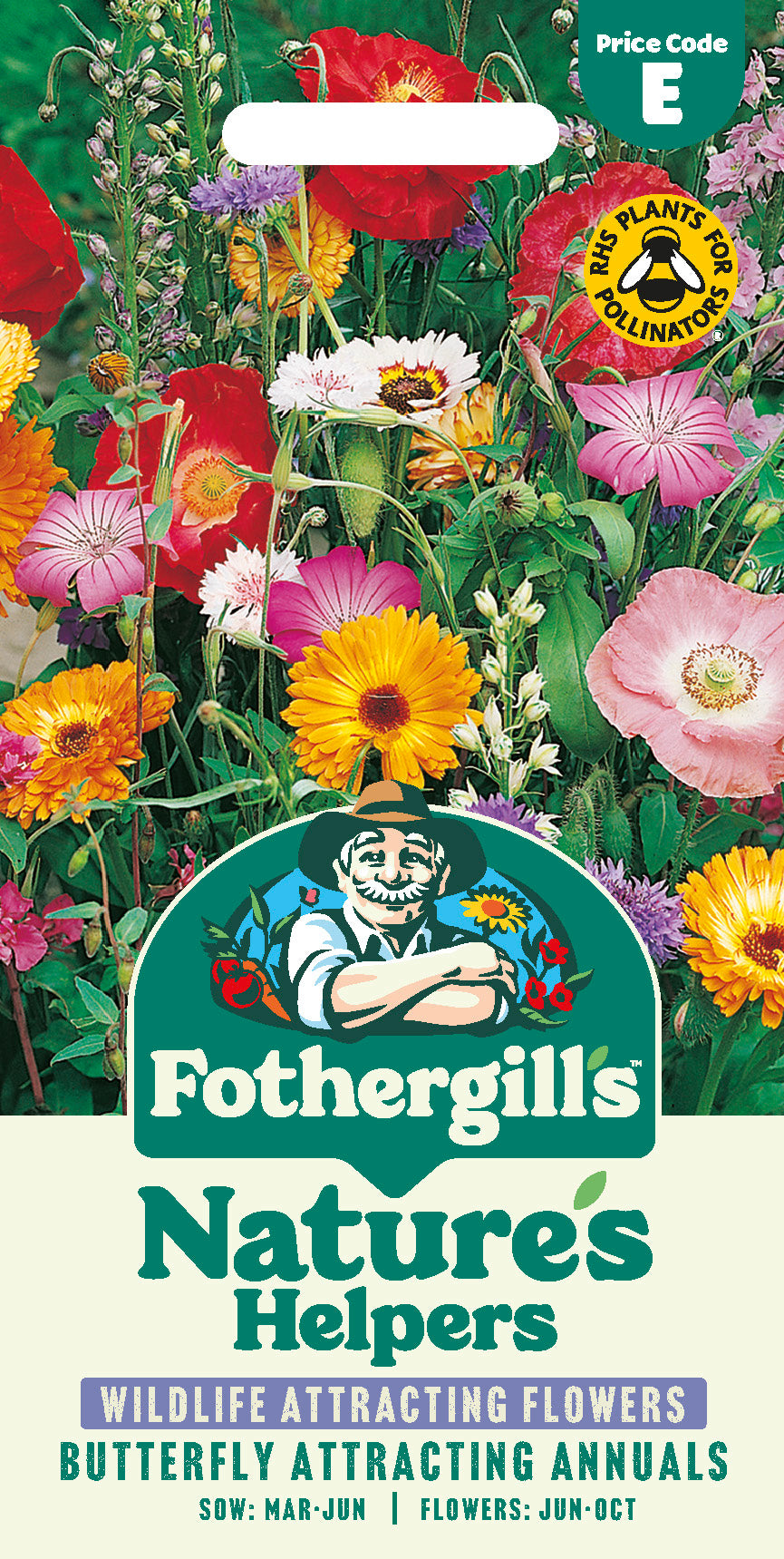 Butterfly Attracting Annuals