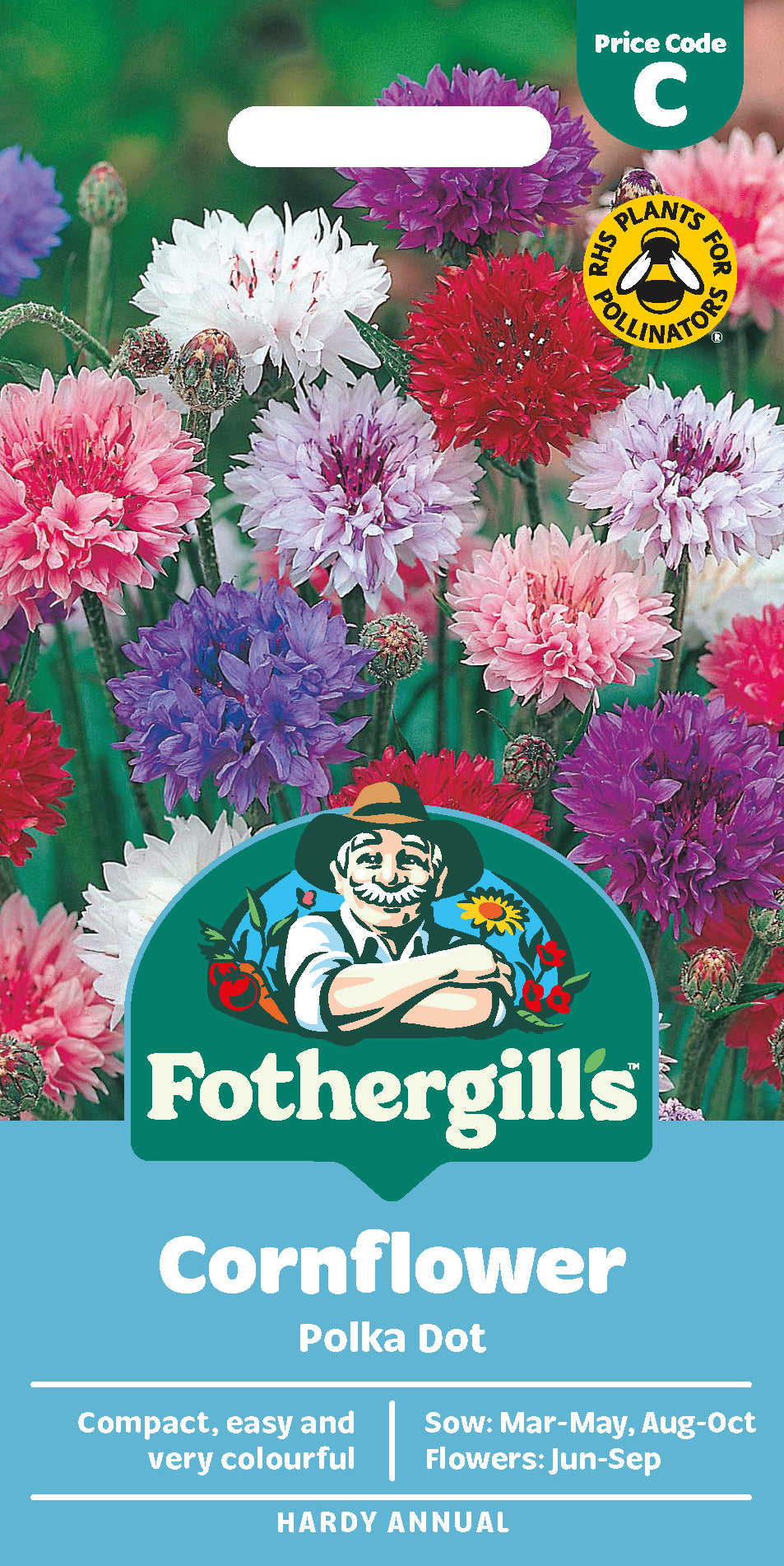 Cornflower Polka Dot