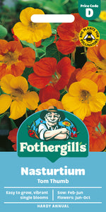 Nasturtium Tom Thumb