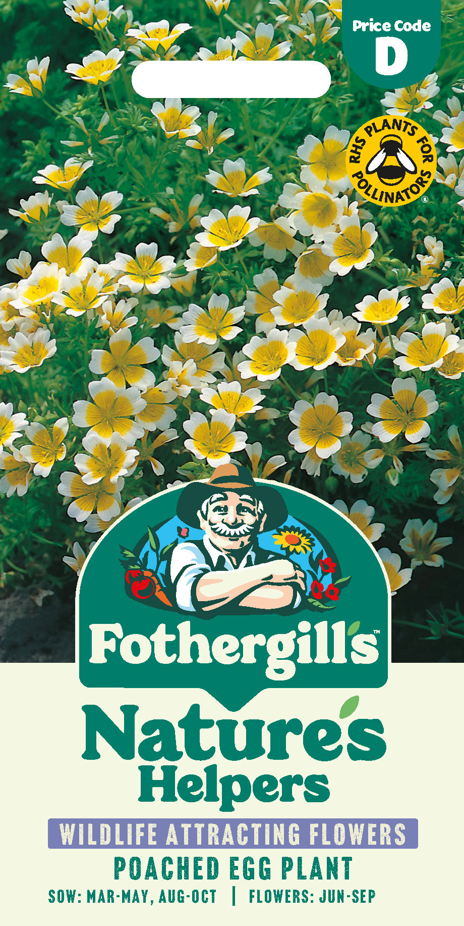 Poached Egg Plant