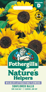 Sunflower Hallo