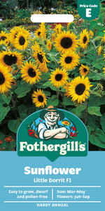 Sunflower Little Dorrit F1