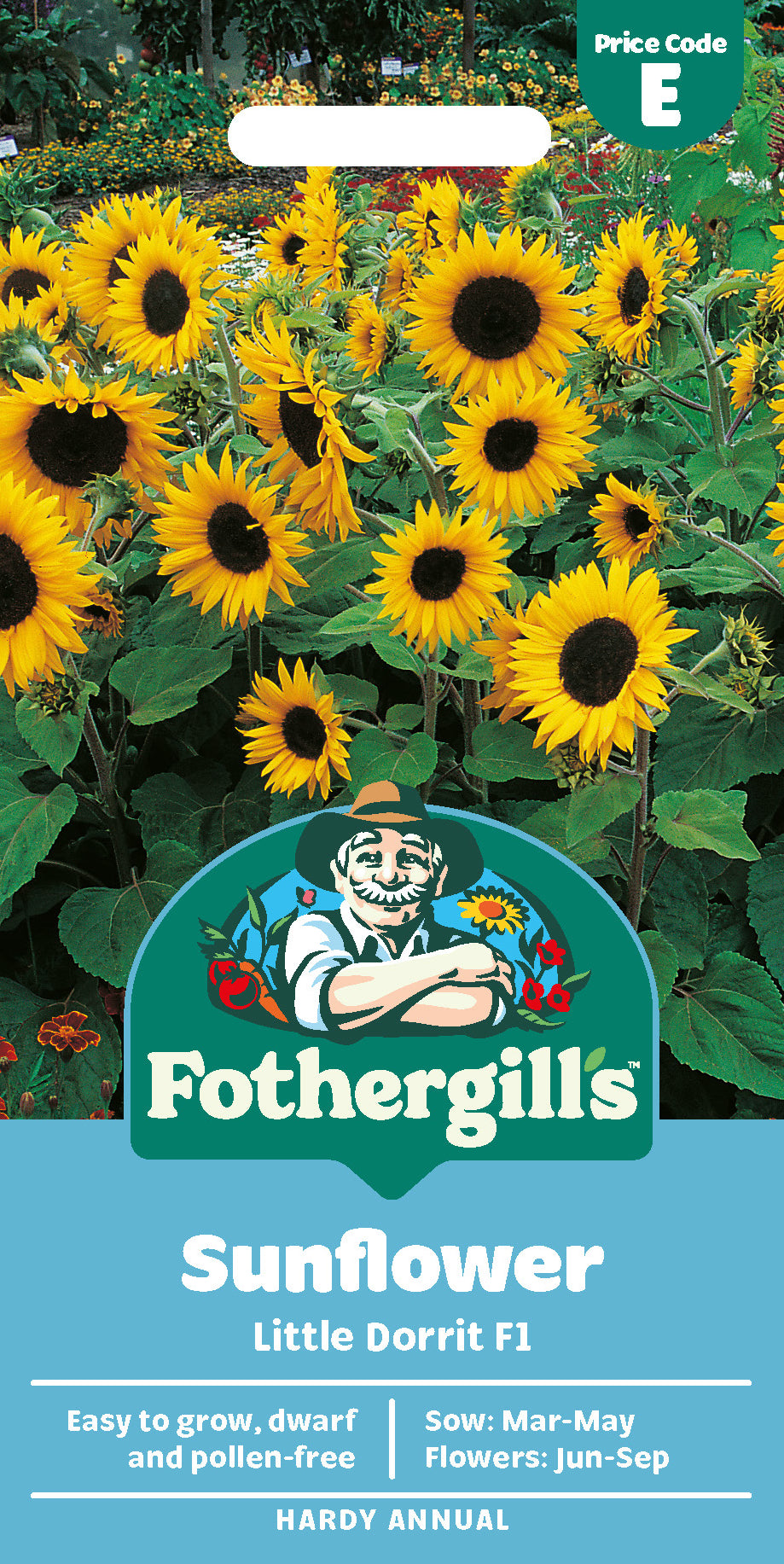 Sunflower Little Dorrit F1