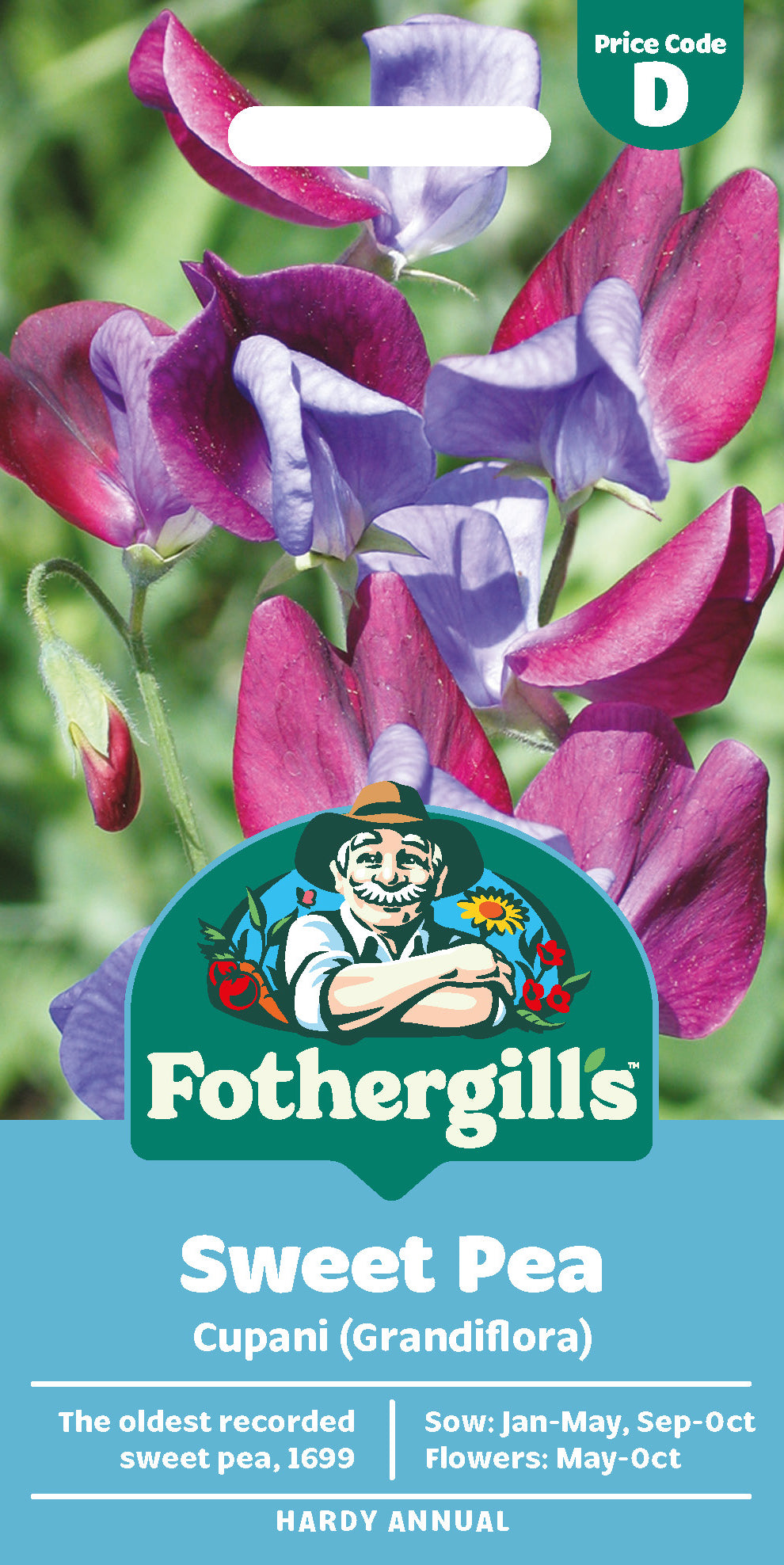 Sweet Pea Cupani (Grandifloria)