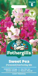 Sweet Pea Perennial Everlasting Mix