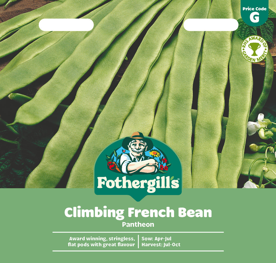 Climbing French Bean Pantheon