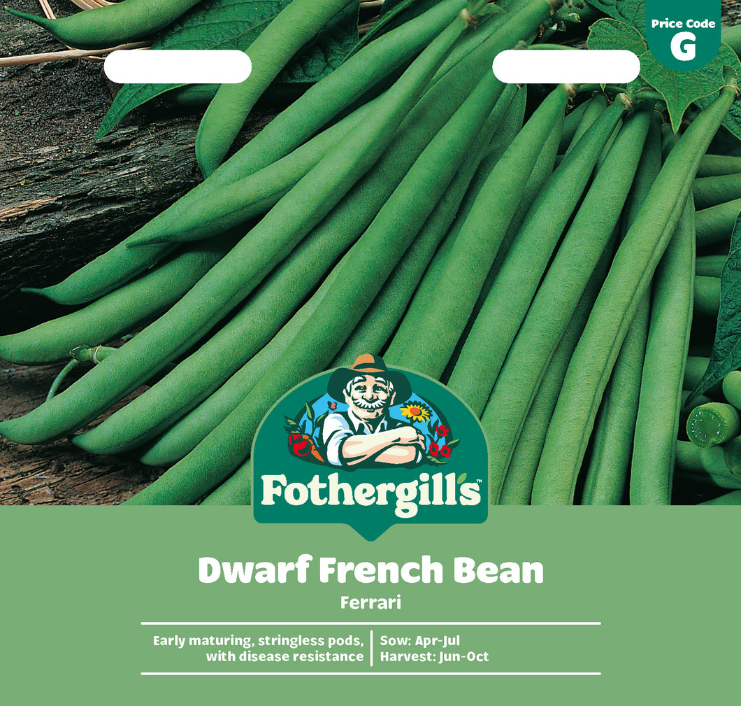 Dwarf French Bean Ferrari