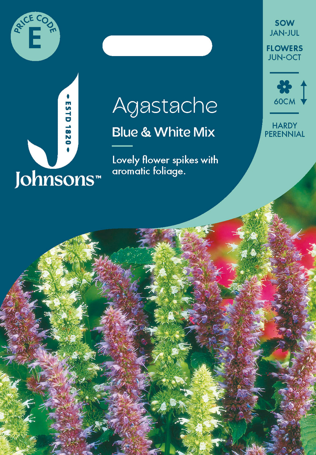 Agastache Blue & White Mix