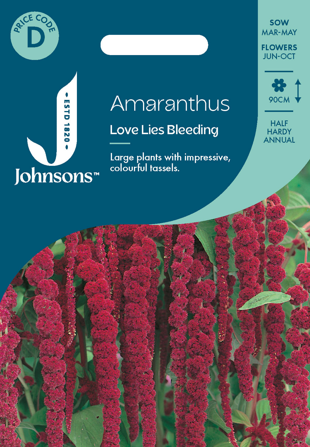 Amaranthus Love Lie Bleeding
