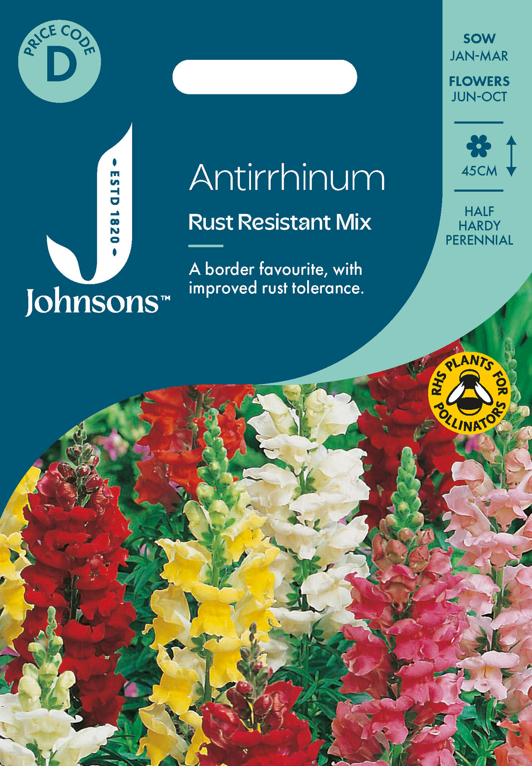 Antirrhinum Rust Resistant Mix