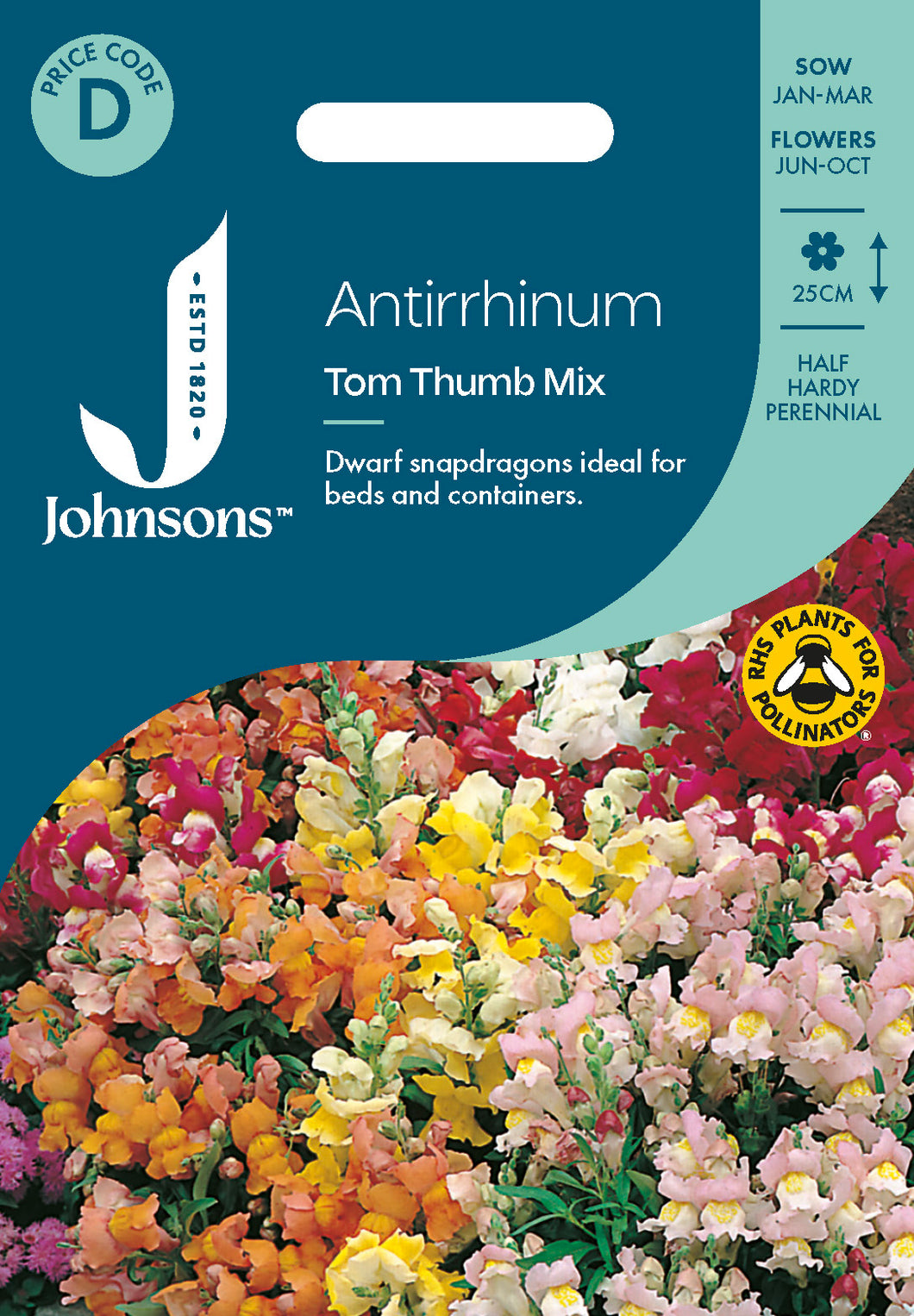 Antirrhinum Tom Thumb Mix