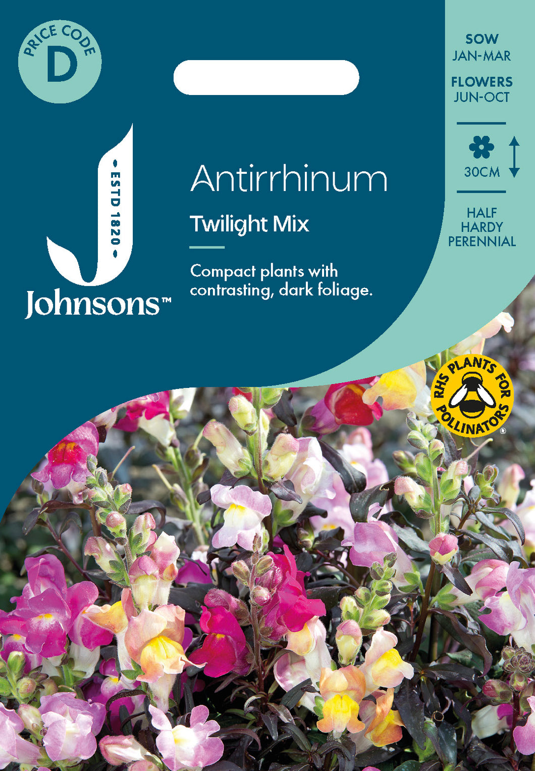 Antirrhinum Twilight Mix