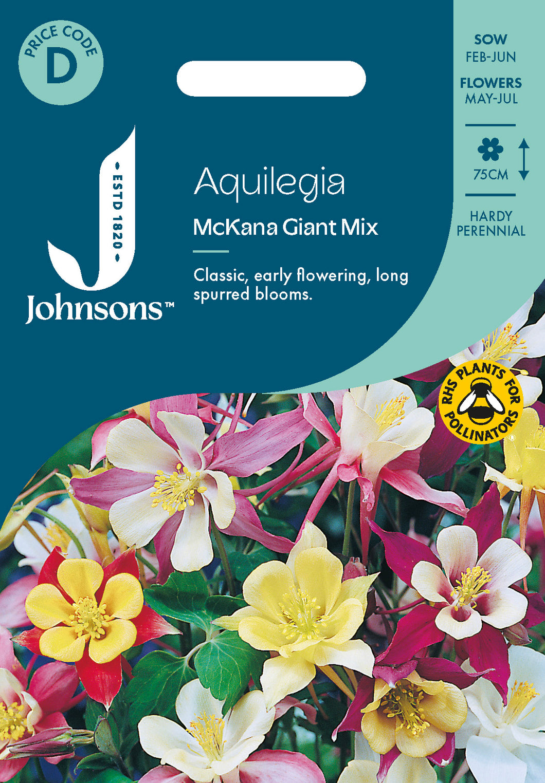 Aquilegia McKana Giant Mix