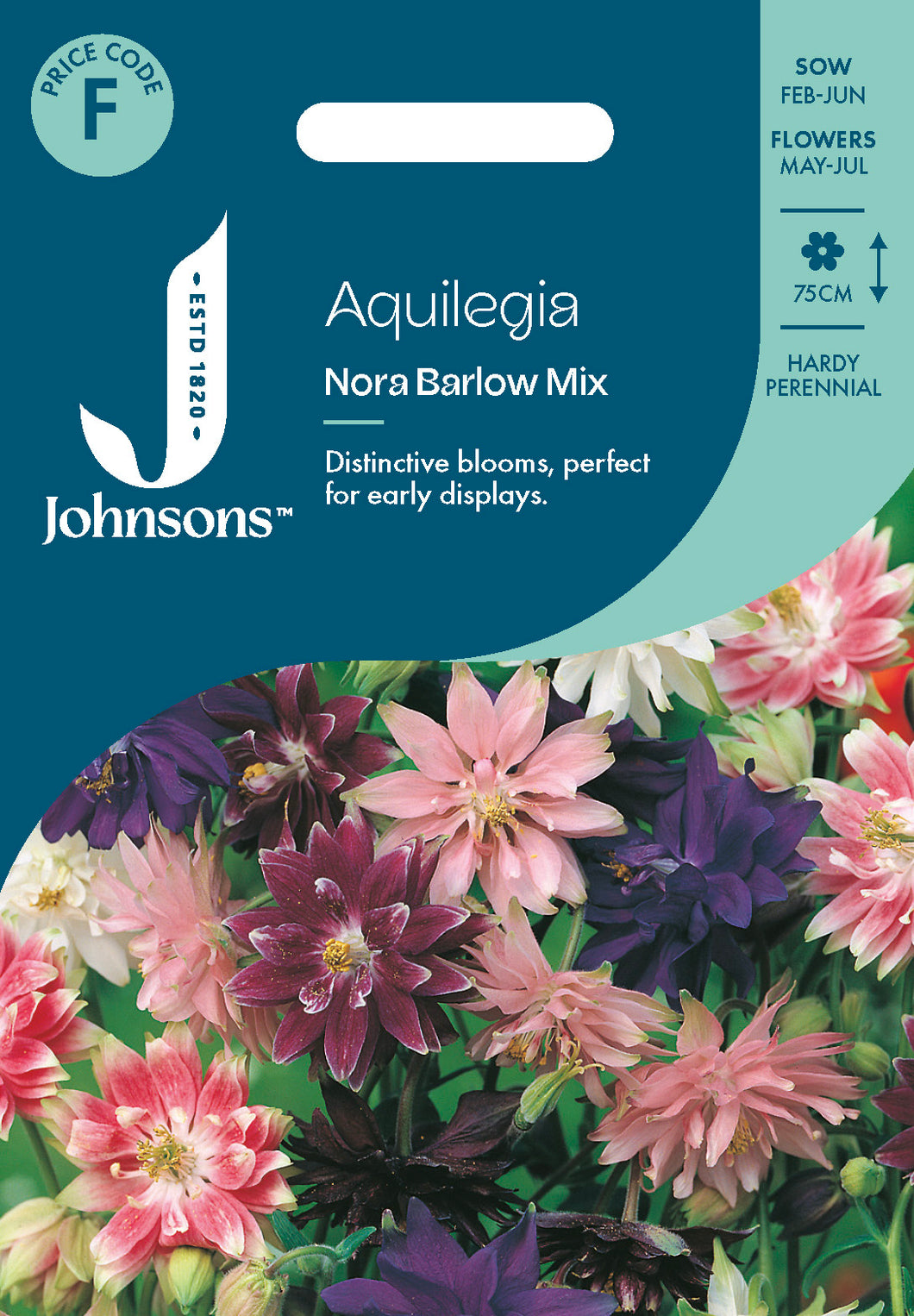 Aquilegia Nora Barlow Mix