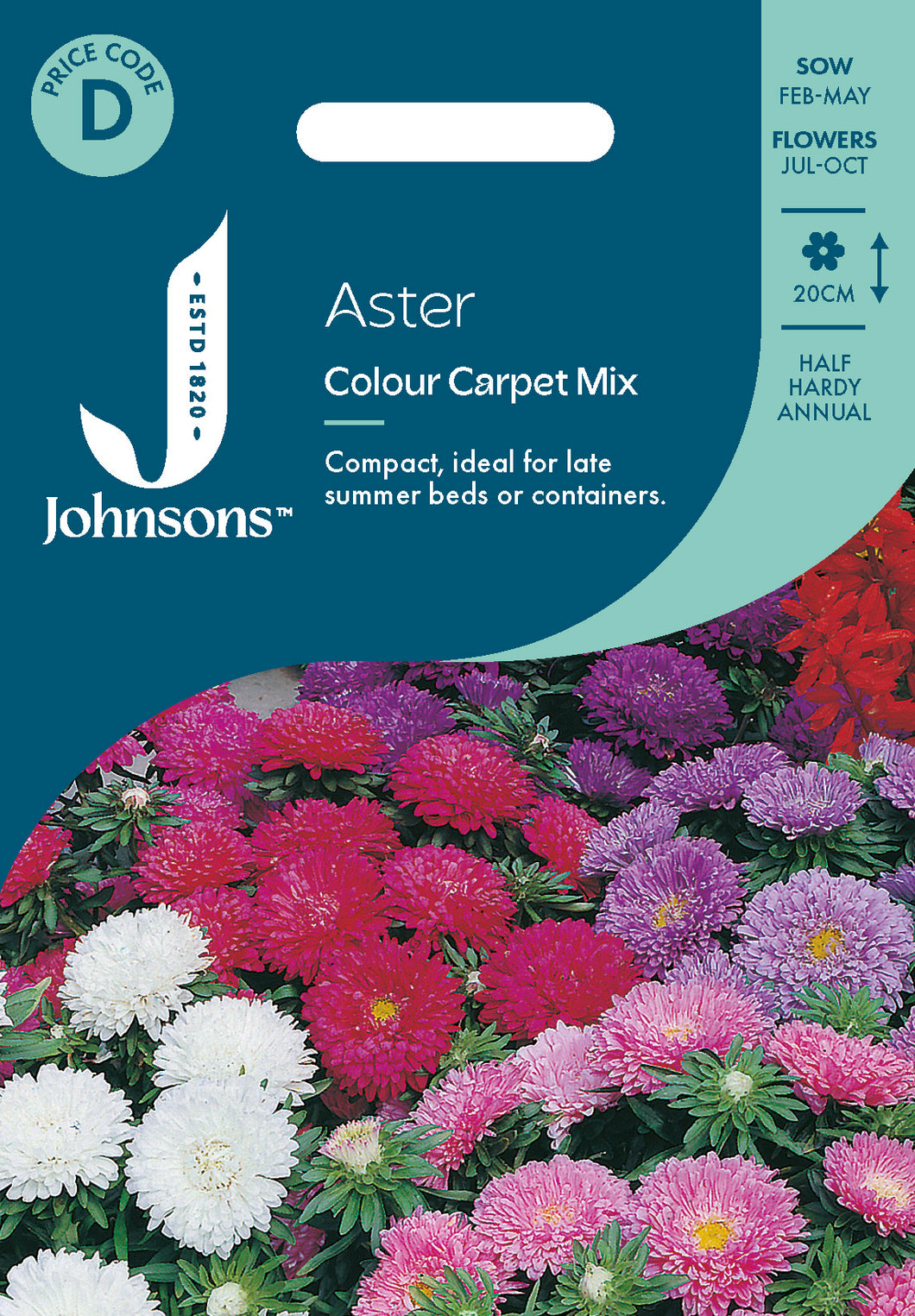 Aster Colour Carpet Mix