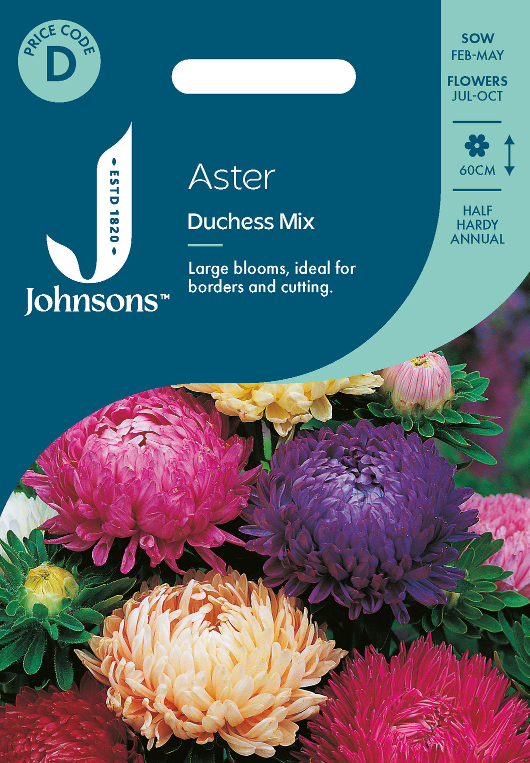 Aster Duchess Mix