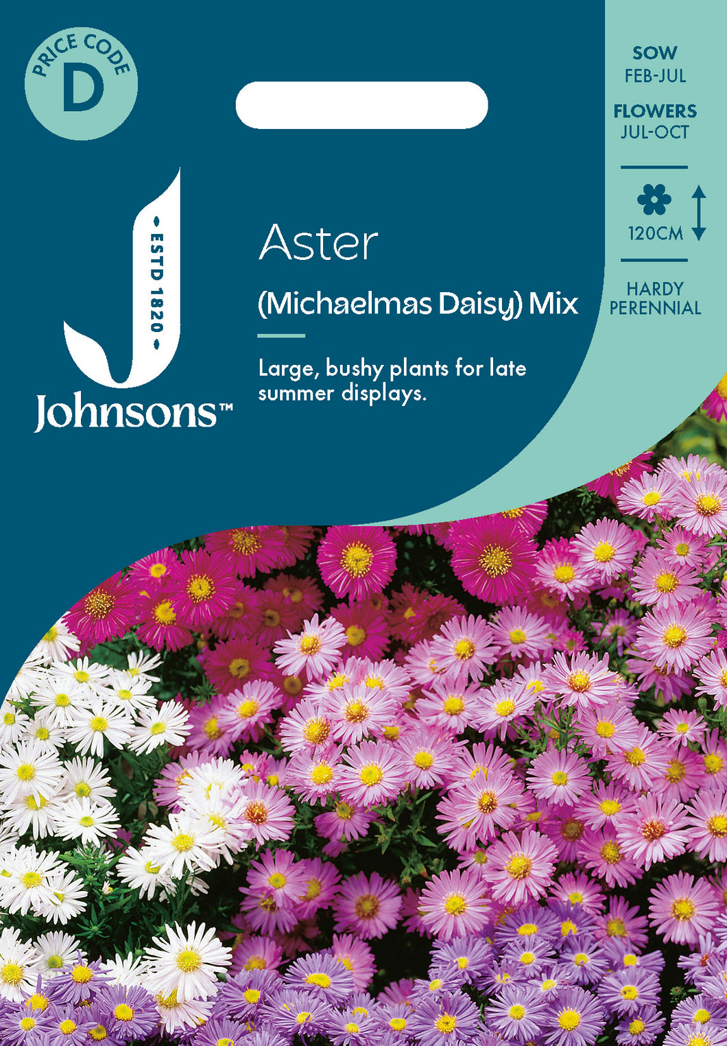 Aster (Michaelmas Daisy) Mix