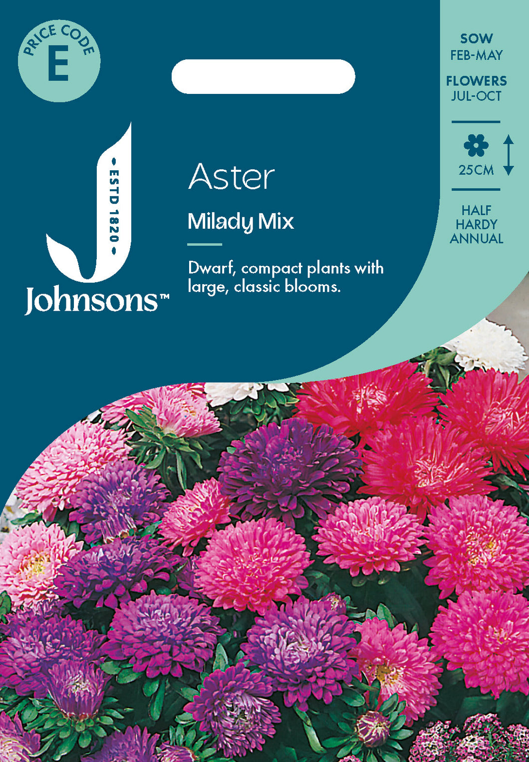 Aster Milady Mix