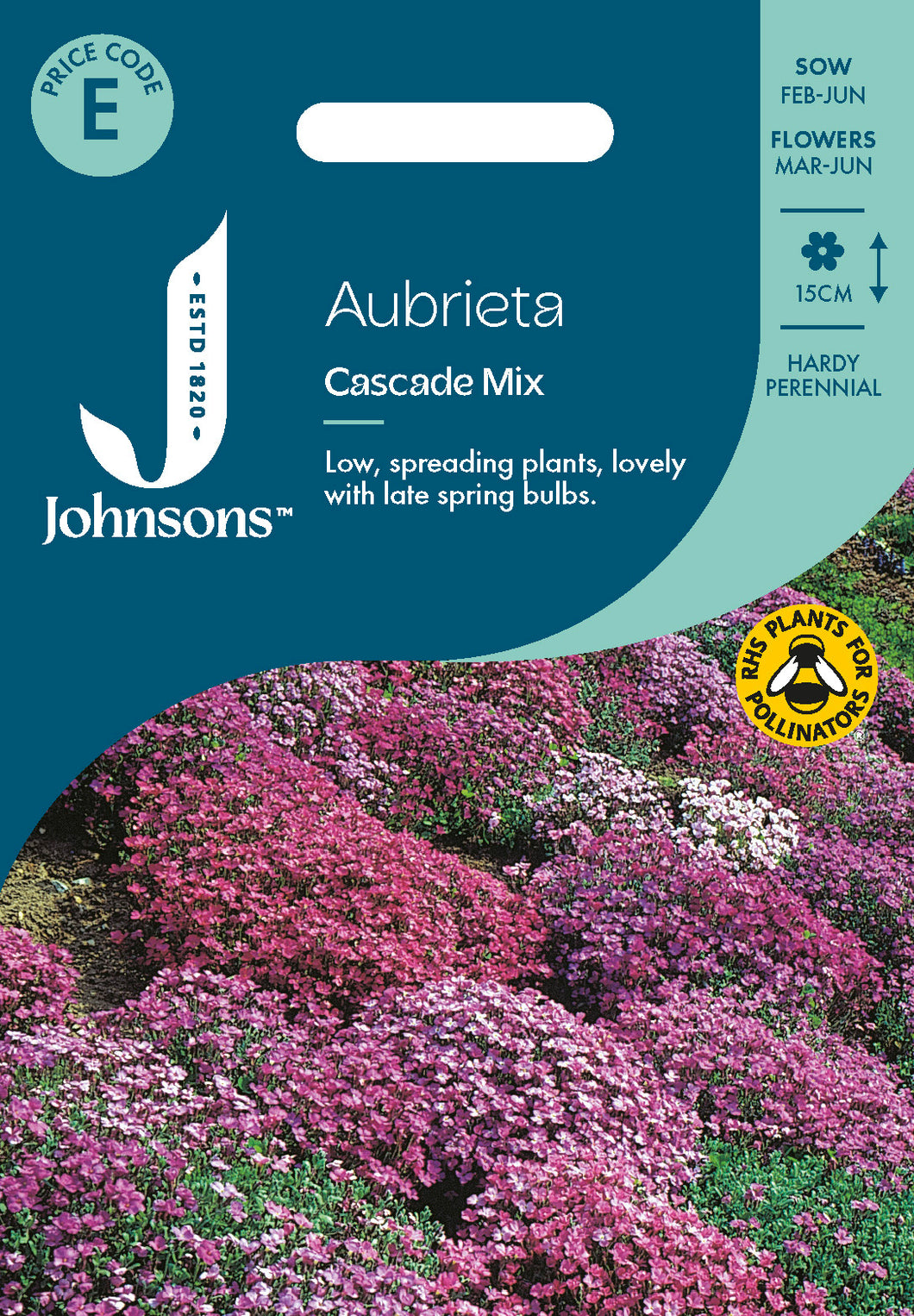 Aubretia Cascade Mix