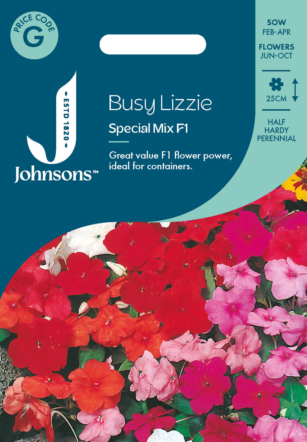 Busy Lizzie Special Mix F1