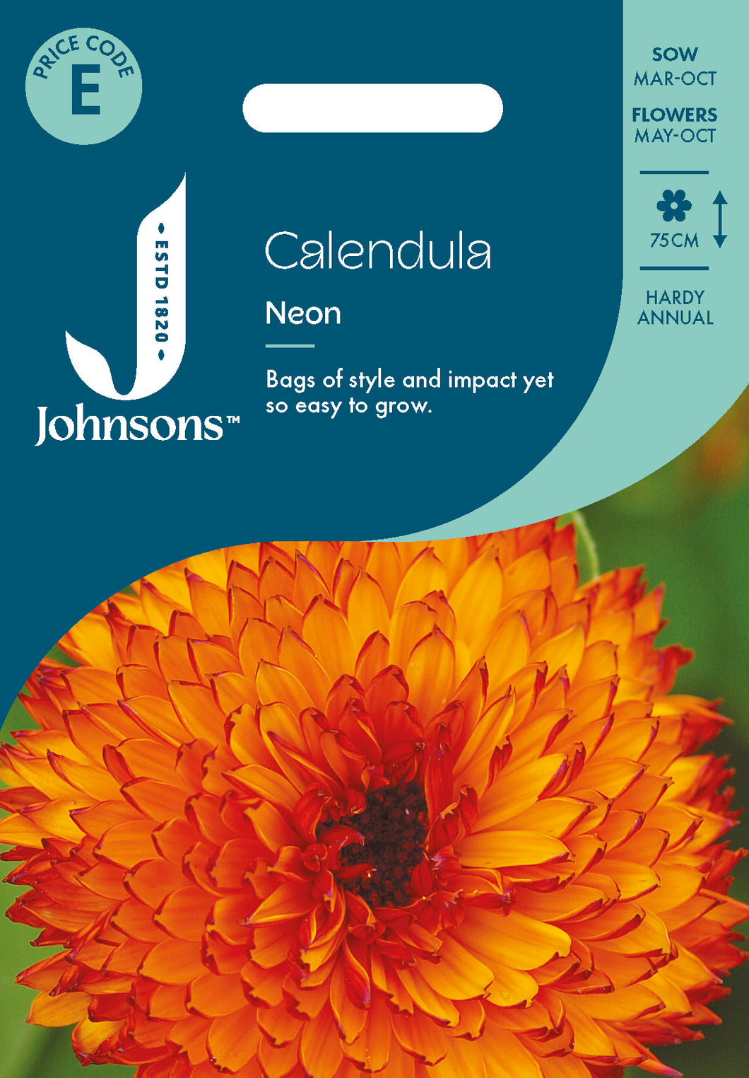 Calendula Neon