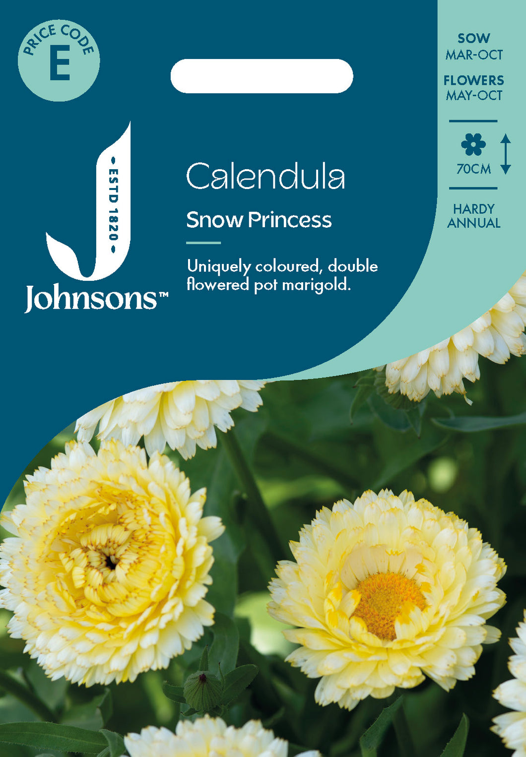 Calendula Snow Princess