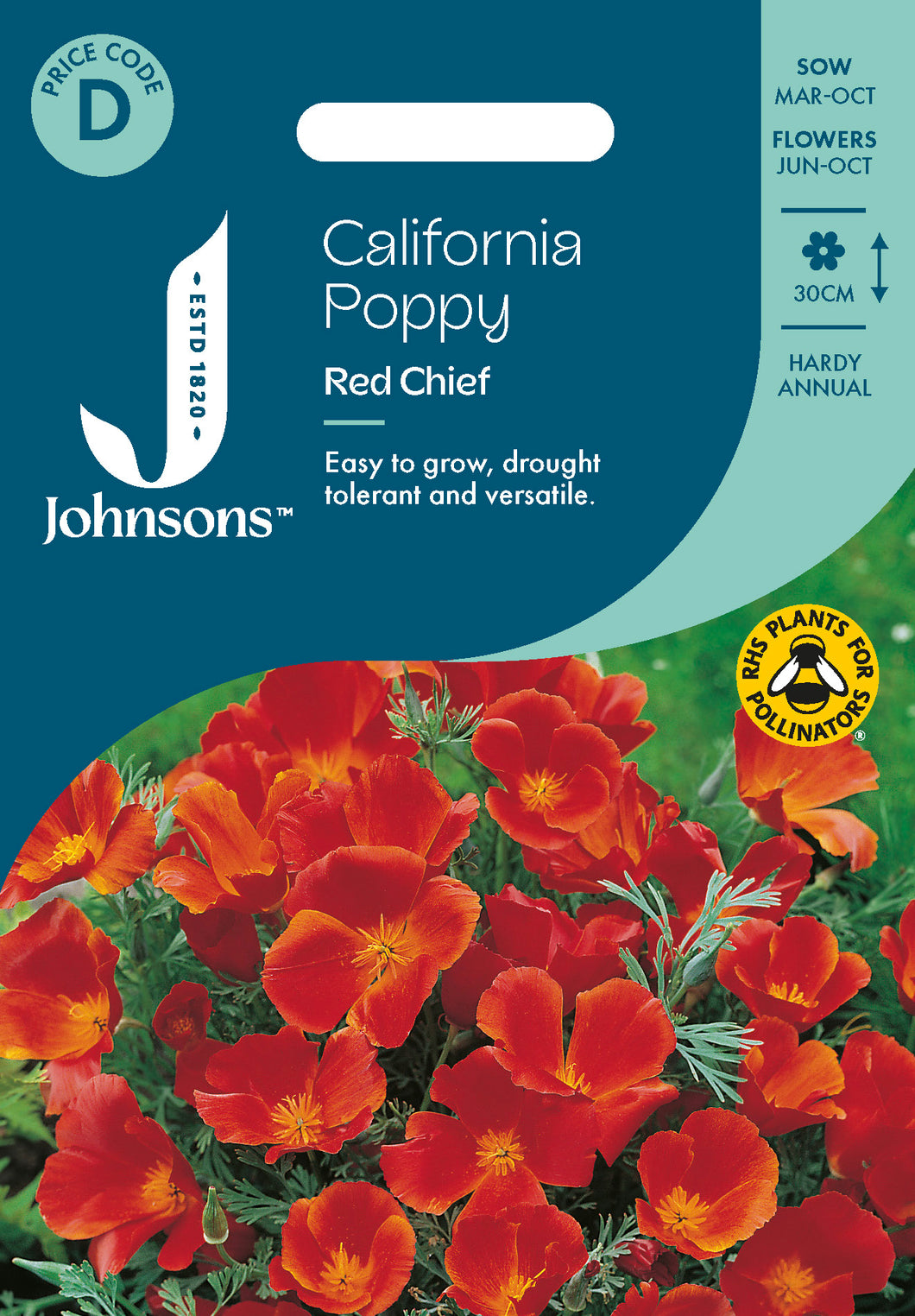 California Poppy Red Chief