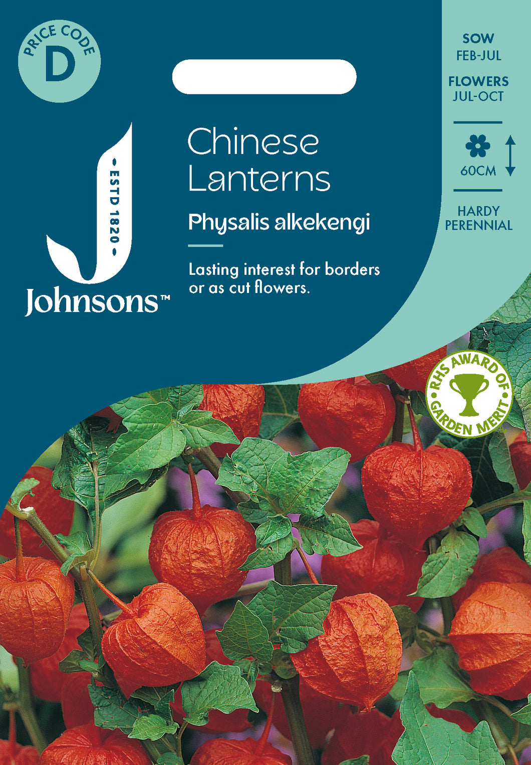 Chinese Lanterns - Physalis