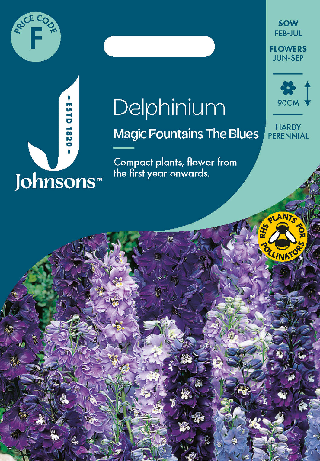 Delphinium Magic Fountains The Blues