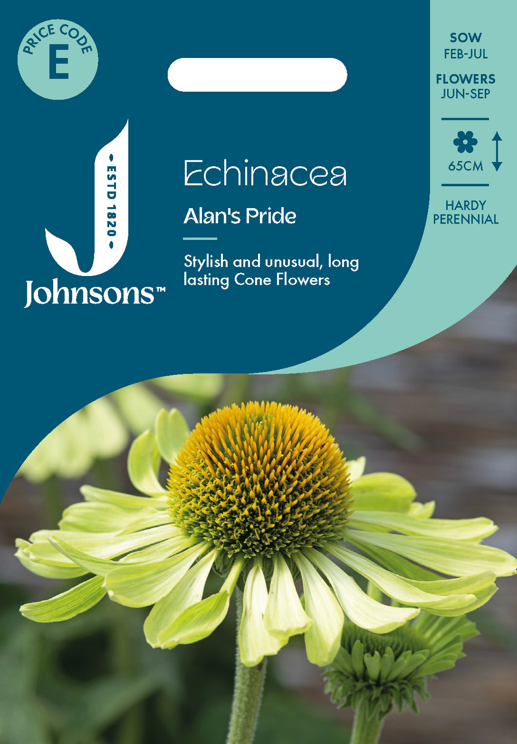 Echinacea Alan's Pride