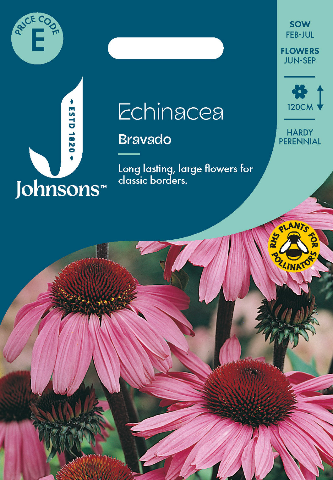 Echinacea Bravado