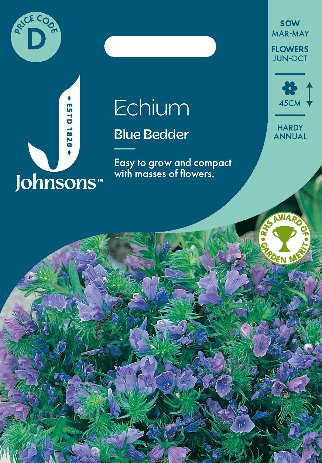 Echium Blue Bedder