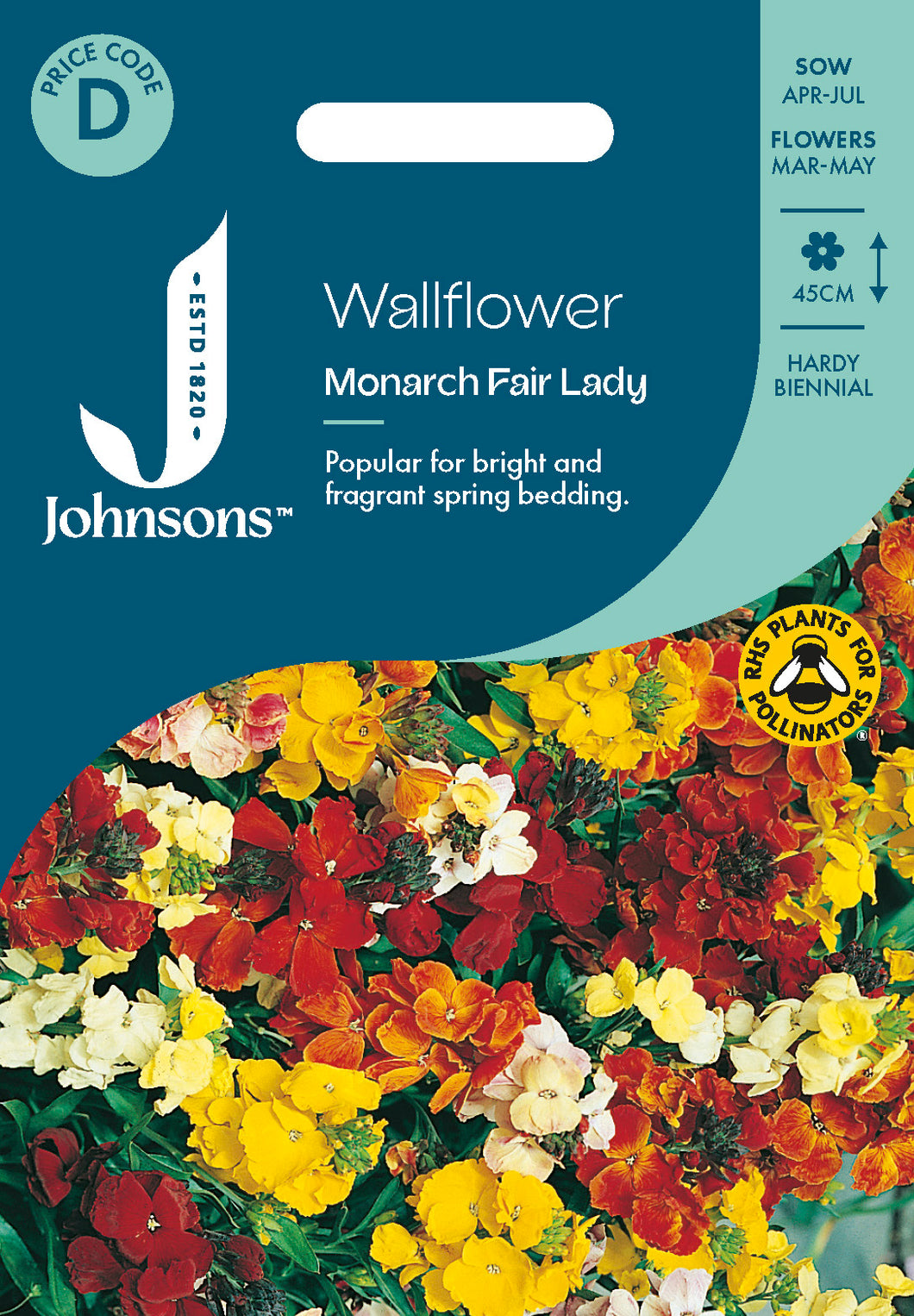 Wallflower Monarch Fair Lady – Milestone Garden Centre