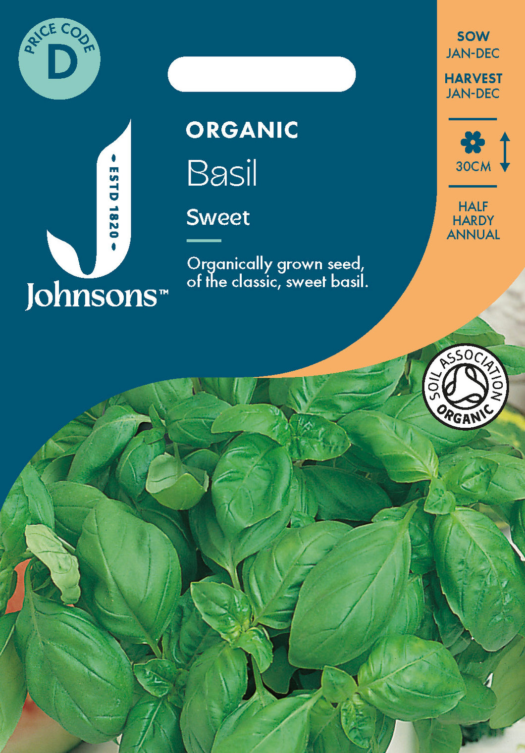 Basil Sweet Organic