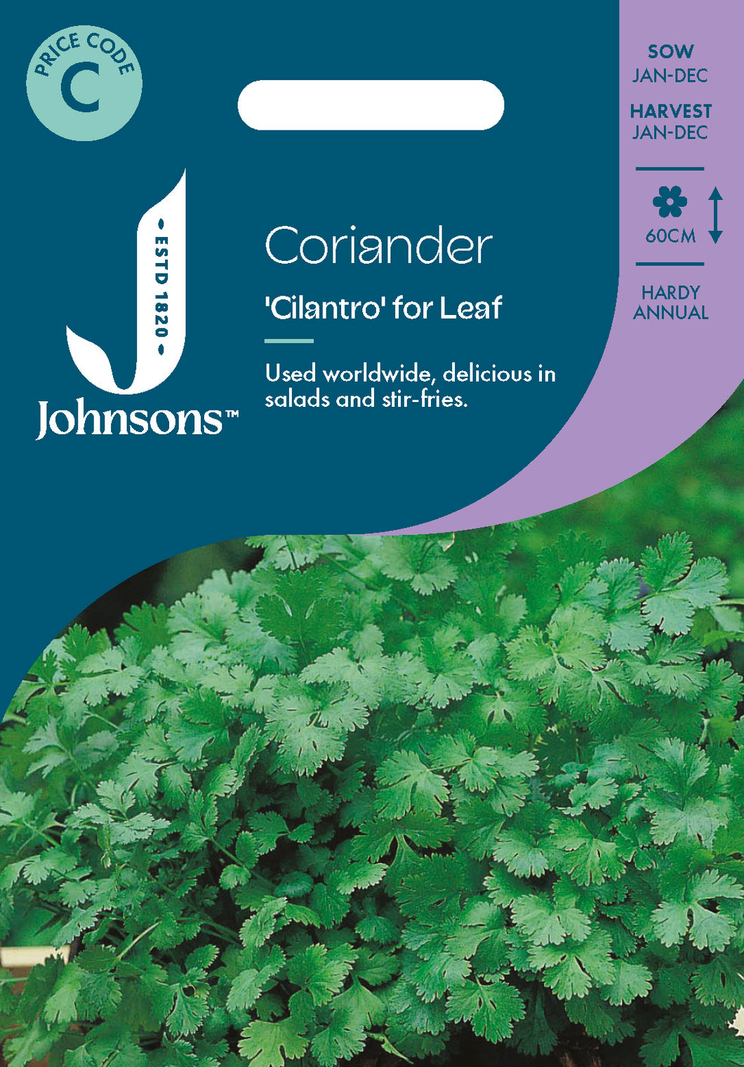 Coriander Cilantro for Leaf