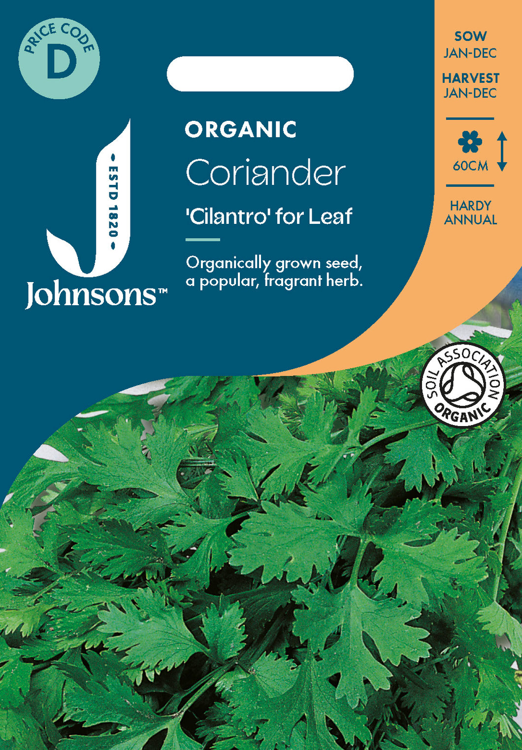 Coriander Cilantro for Leaf Organic