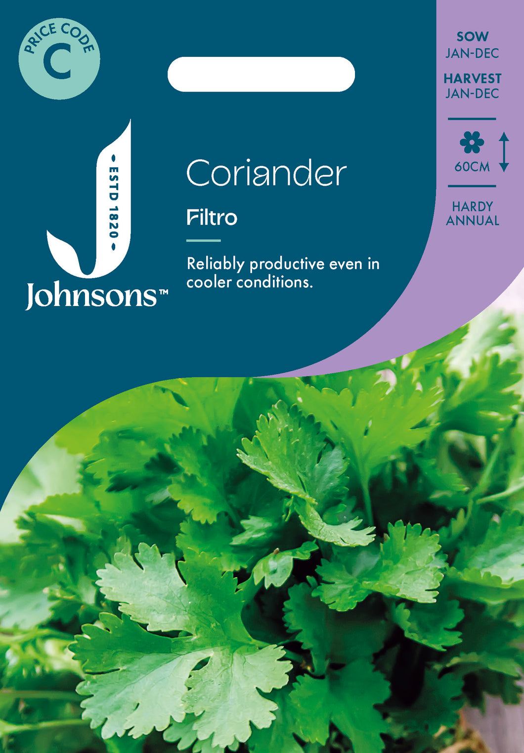 Coriander Filtro