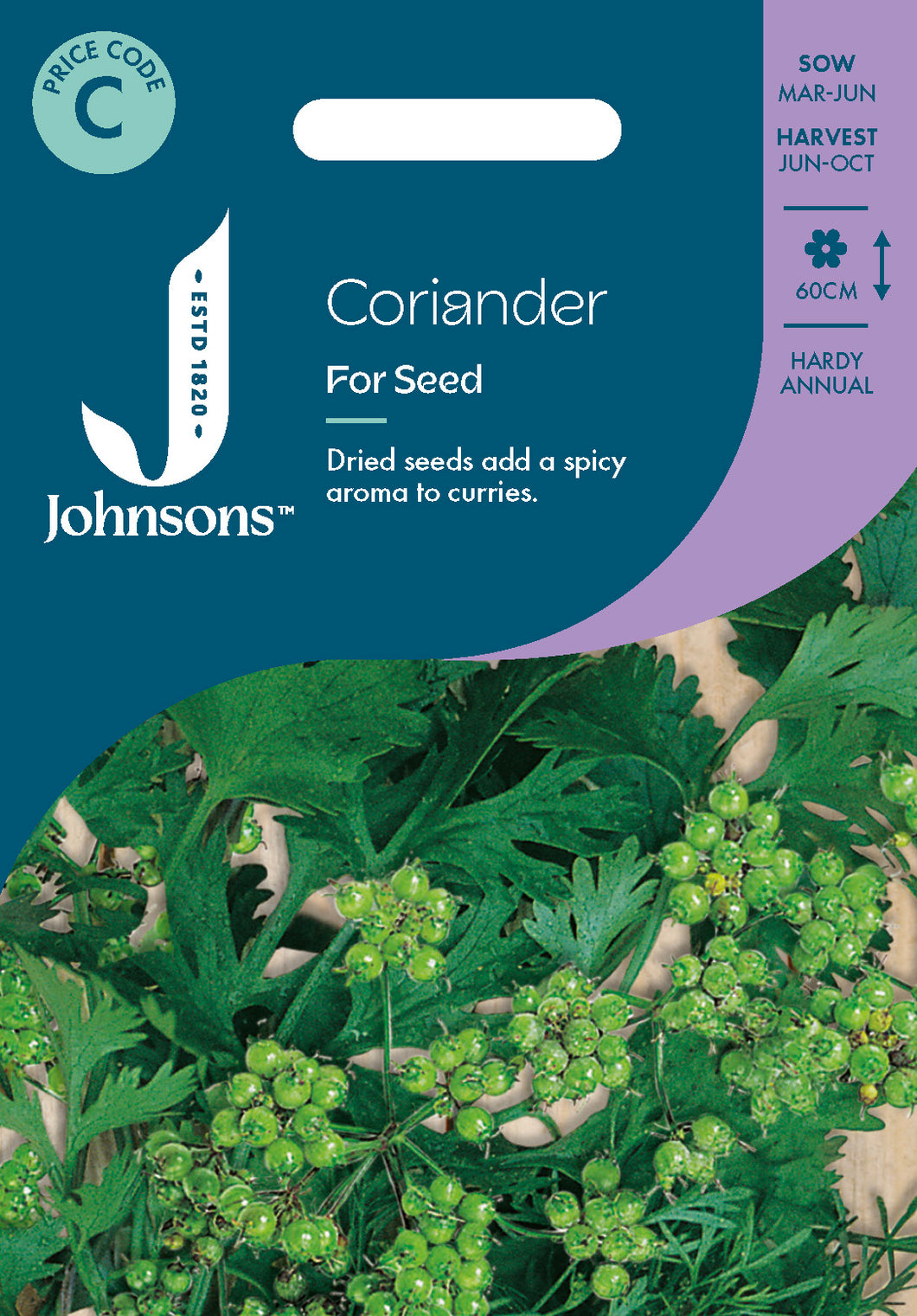 Coriander for Seed