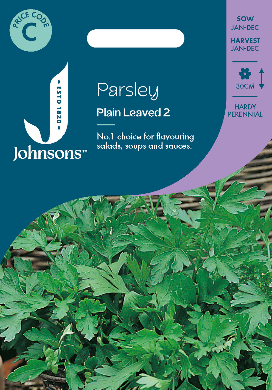 Parsley Plain Leaved 2
