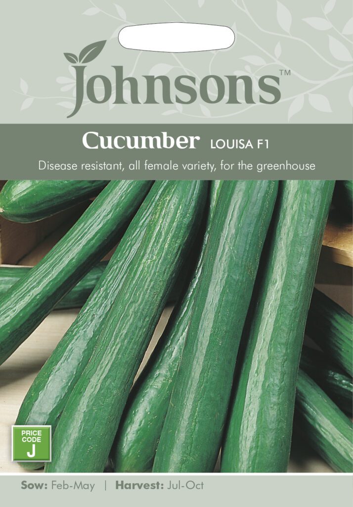 Cucumber Louisa F1