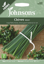 Load image into Gallery viewer, Chives Biggy
